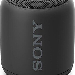 Sony SRS-XB10 Compact Portable Wireless Speaker with Extra Bass